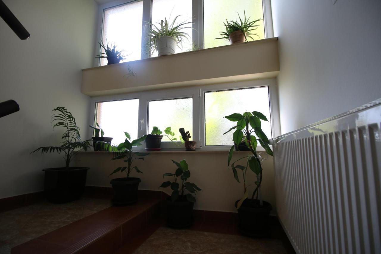 Hostel Teresianum Aleksinac Kültér fotó